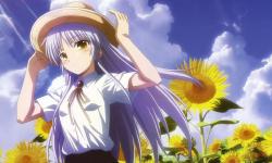 Featured image of post SSS战线的大家